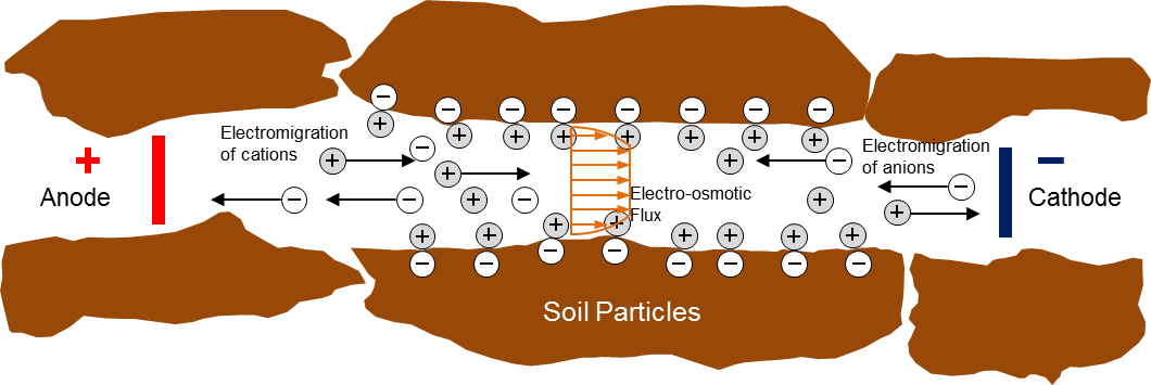 Electrokinetics diagram showing electromigration of cations toward cathode and anions toward anode with electro-osmotic flux through soil particles